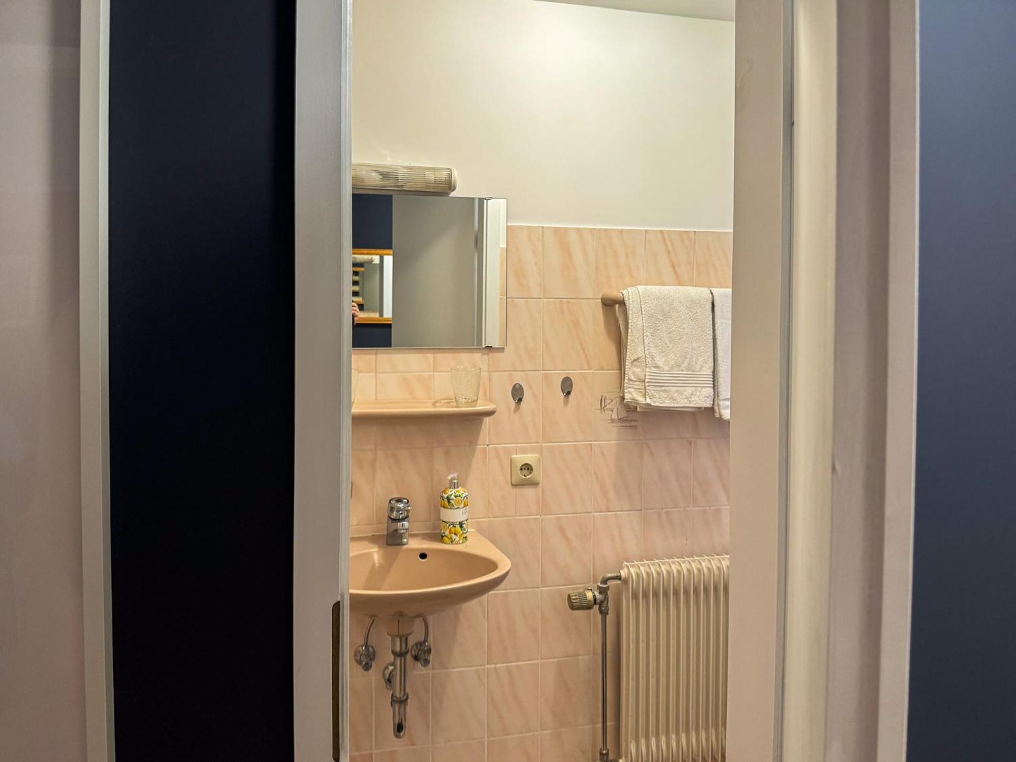 Apartment Parkplatz Garten Rad-Garage Freiburg im Breisgau Ngoại thất bức ảnh